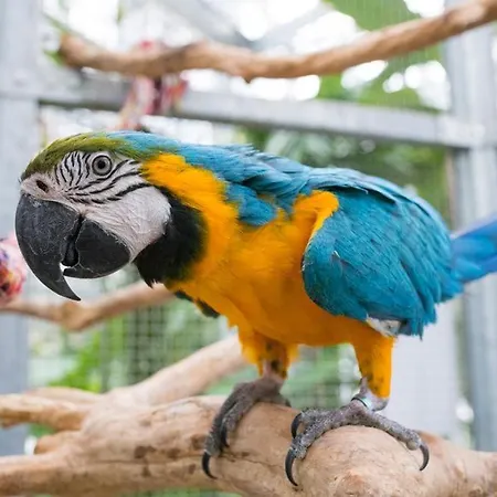 아파트 Le Panama - 5 Min Du Centre, 500m2 De Jardin *