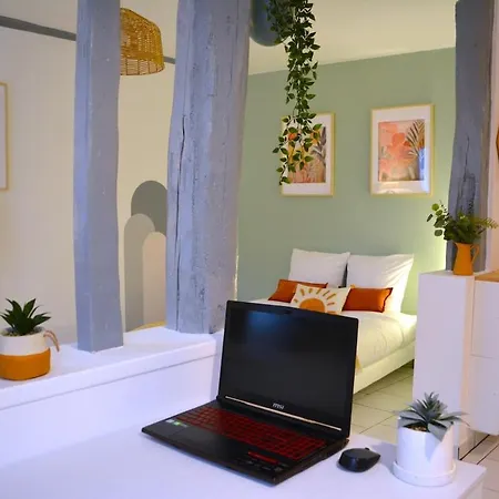 Le Panama - 5 Min Du Centre, 500m2 De Jardin